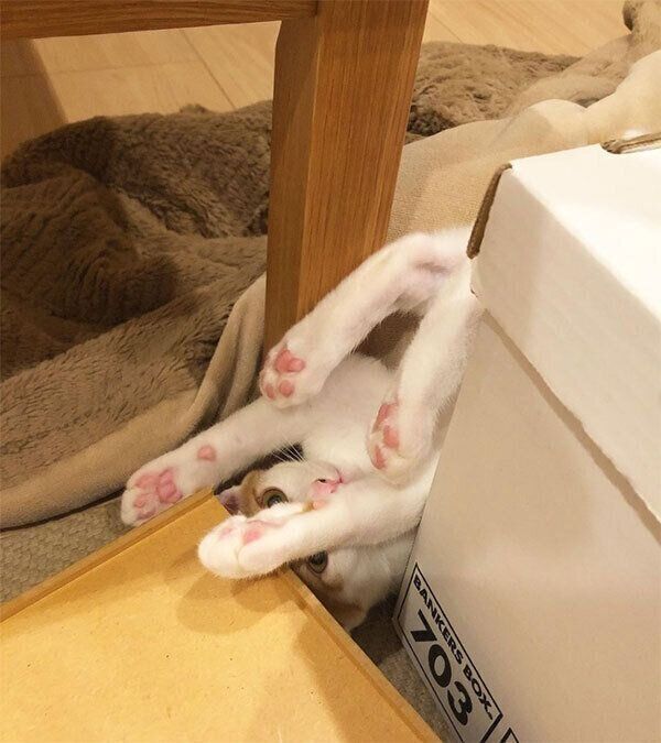 落ちちゃった櫁くん