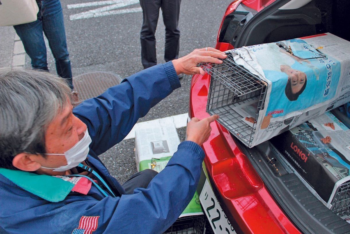 写真提供／NPO法人ねりまねこ