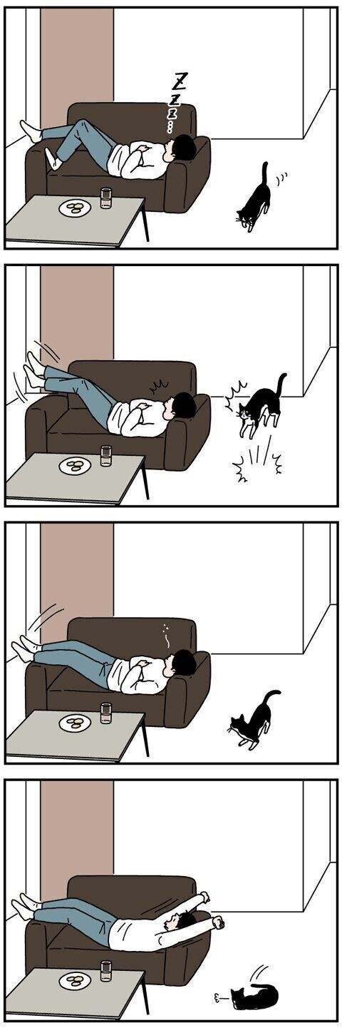 猫のびっくりジャンプ 実はすごい 男の猫道 ねこのきもちweb Magazine限定話 Vol 153 ねこのきもちweb Magazine