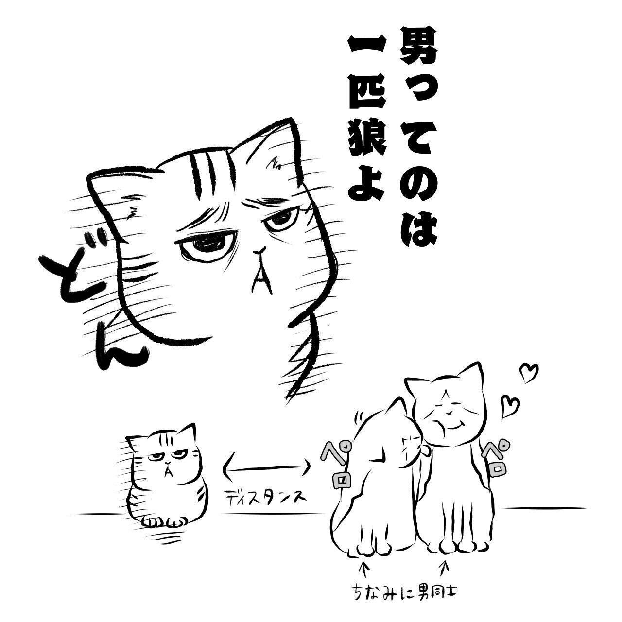 頑なな1匹狼猫 突然の 添い寝攻撃 に見せた行動に幸せすぎて気持ちの整理ができません 連載 交通事故にあった猫を拾いました 24 ねこのきもちweb Magazine