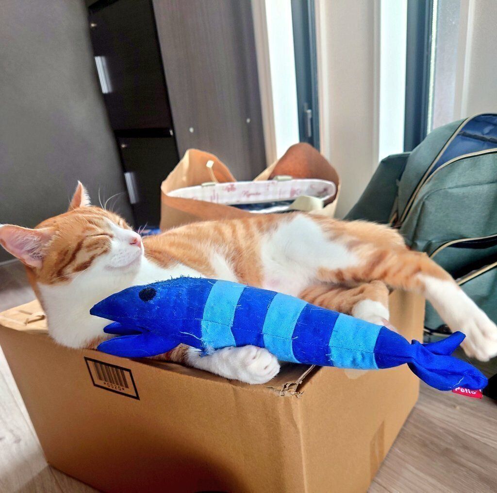 遊び疲れて寝落ちしてしまったスイちゃん