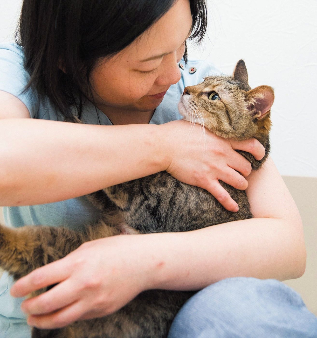 愛猫が少しでも臭いと思ったら 猫のニオイを嗅いでわかること3 ねこのきもちweb Magazine 愛猫が少しでも臭いと思ったら 猫のニオイを嗅いでわかること3 ねこのきもちweb Magazine