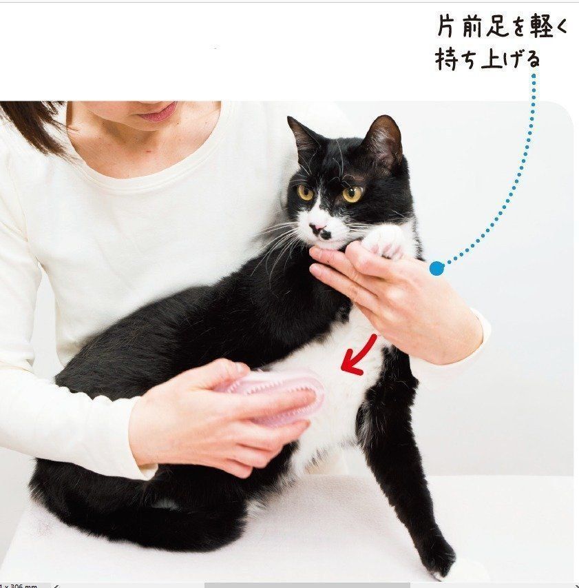 撮影／中川文作