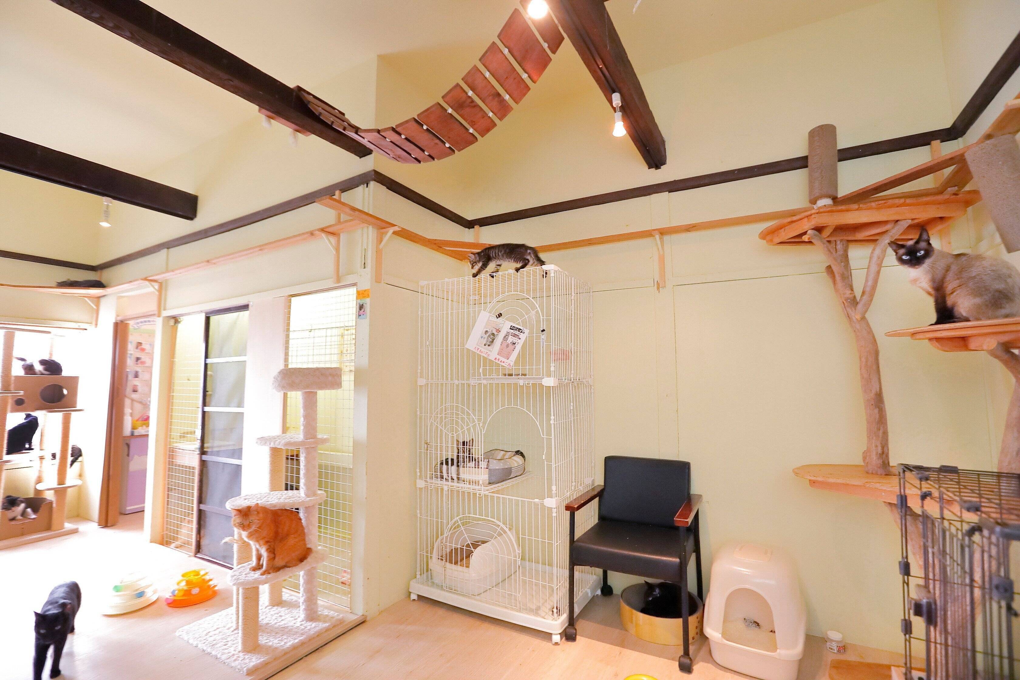 撮影／後藤さくら