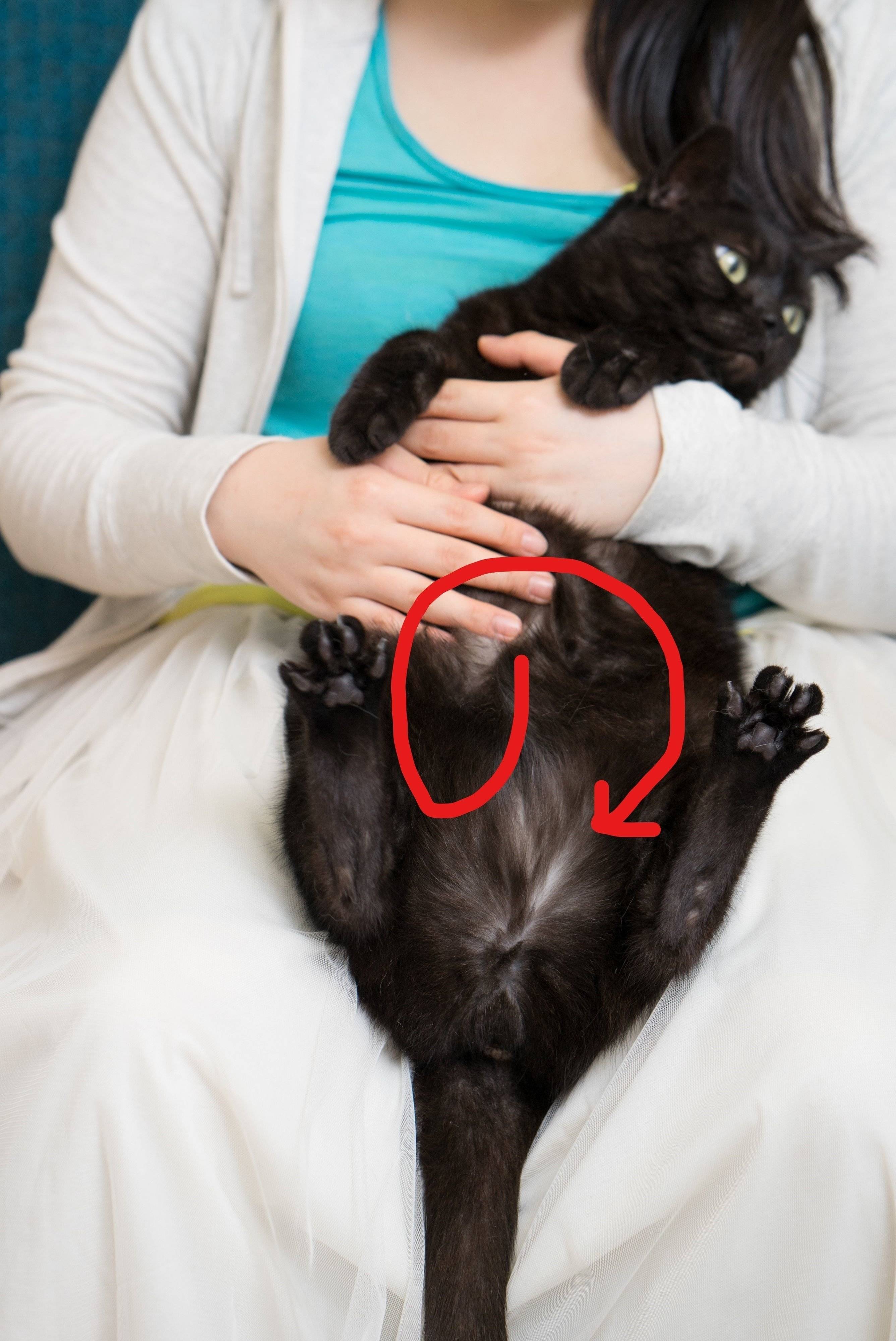 撮影／石原さくら