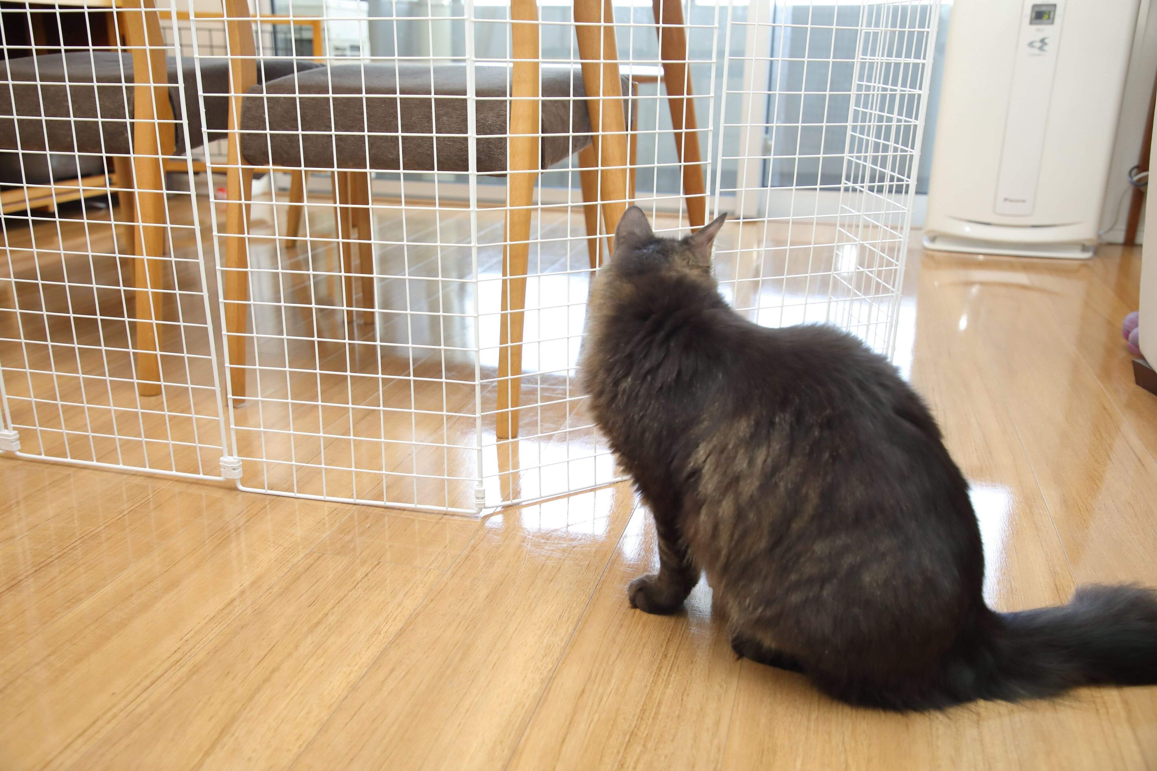 撮影／尾﨑たまき