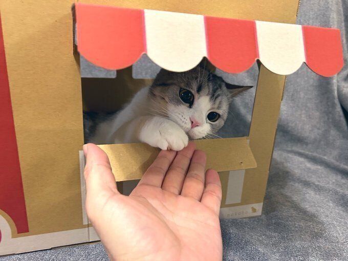 別の日の様子　この投稿も多数の「いいね」が寄せられるなど話題に