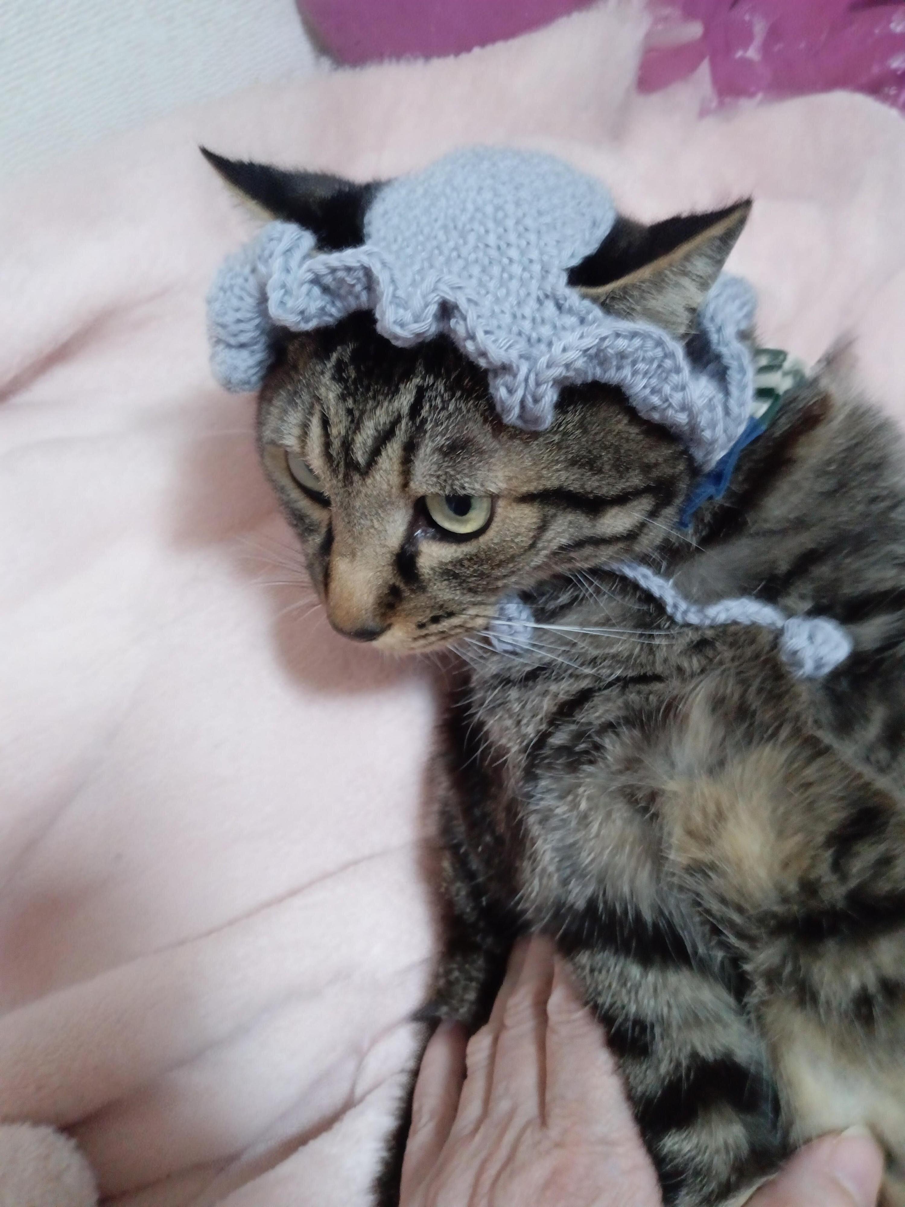 スカーレット工房作品