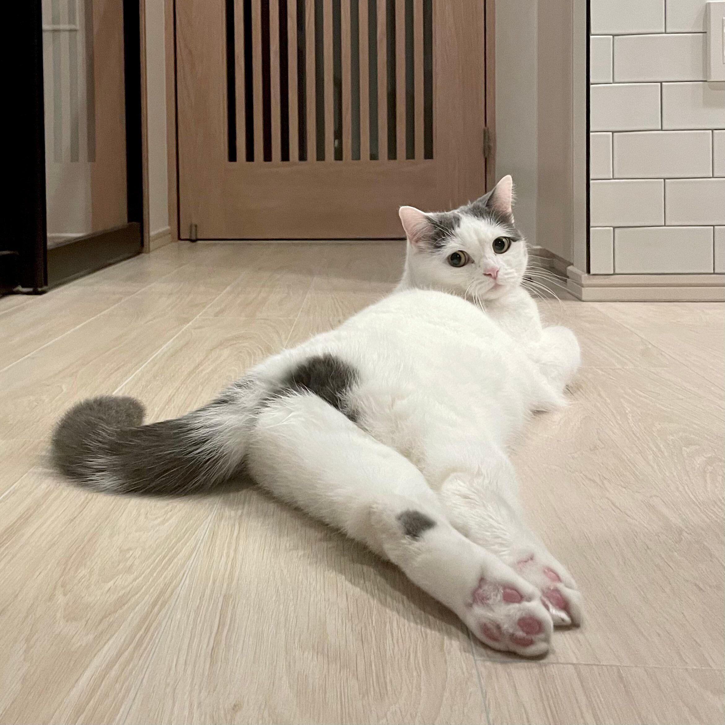 くつろぐフクちゃん