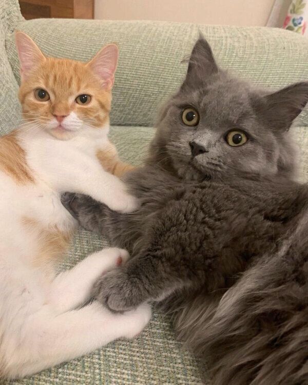 仲良しなウニちゃんとアオくん