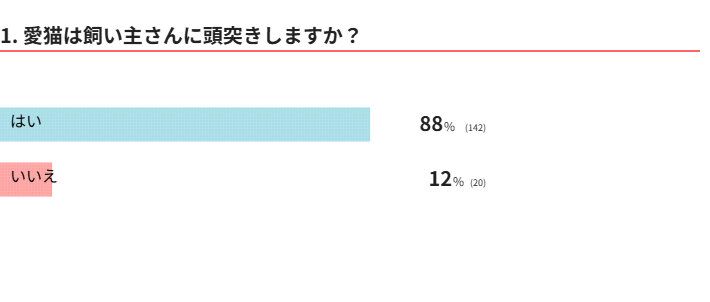 愛猫は頭突きする？