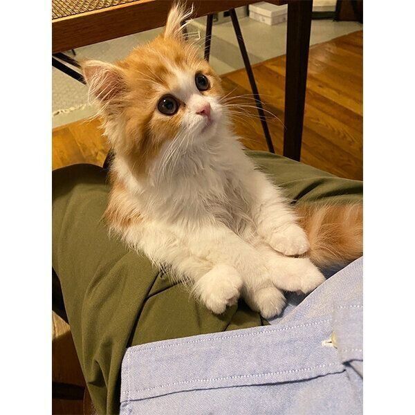 お座りするノワくん