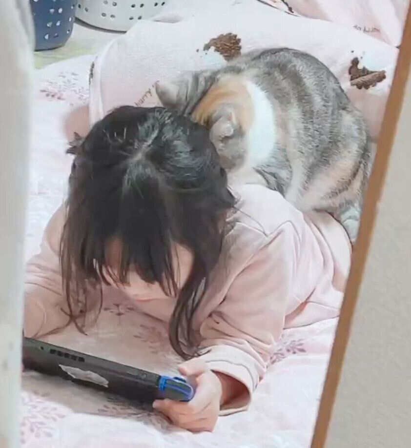 娘さんにスリスリするシャロンちゃん