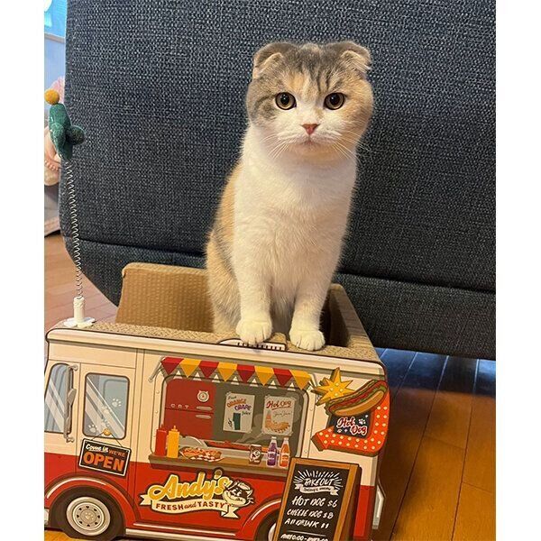 見つめるういちゃん