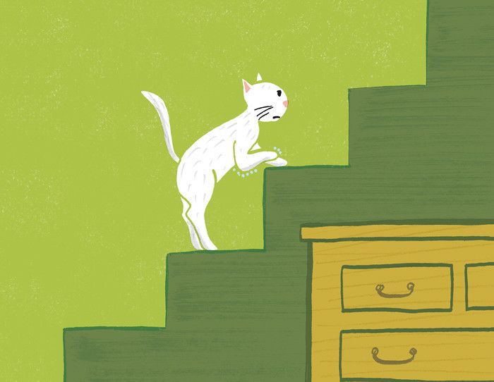 先輩飼い主さんが教える「猫が若いうちにやっておくべき３つのこと」