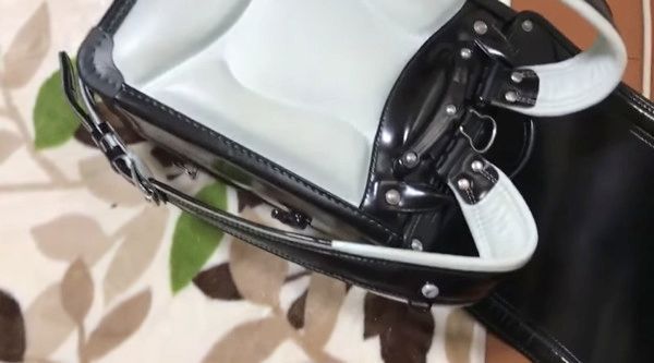 ランドセルで遊ぶ猫