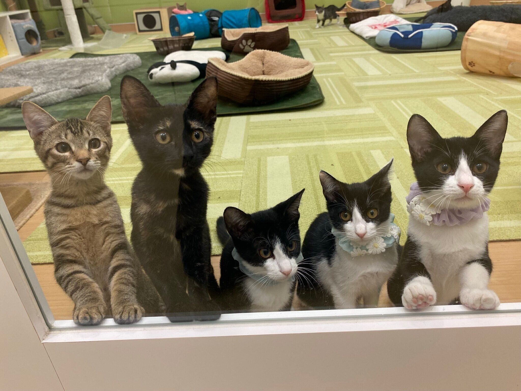 清潔に保たれた明るいお店