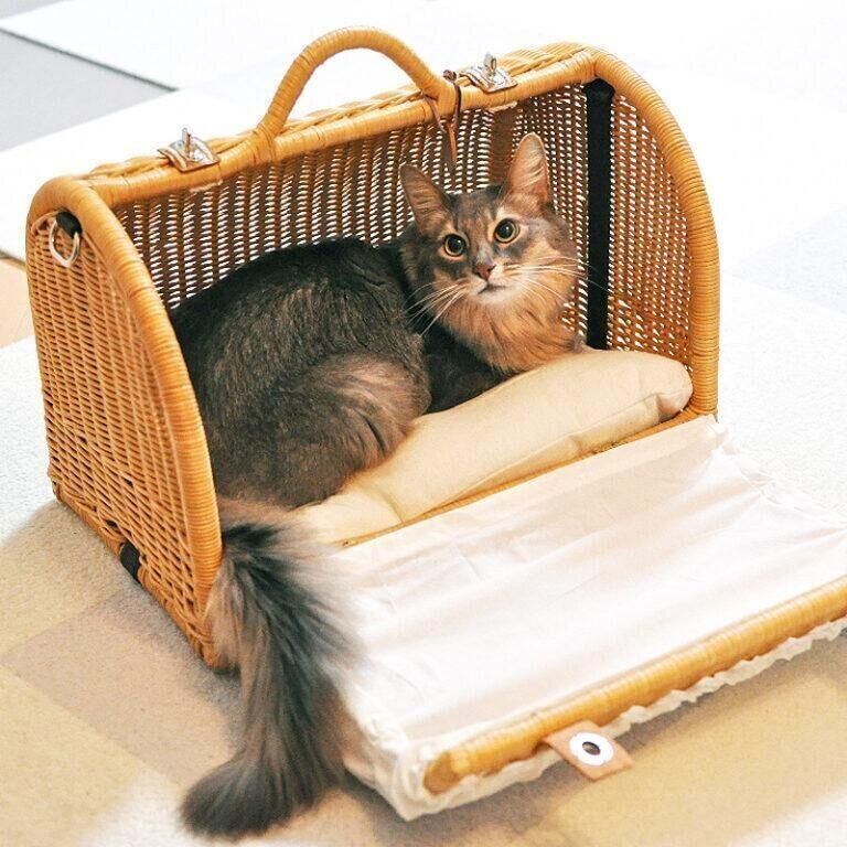 シンシアジャパン作品