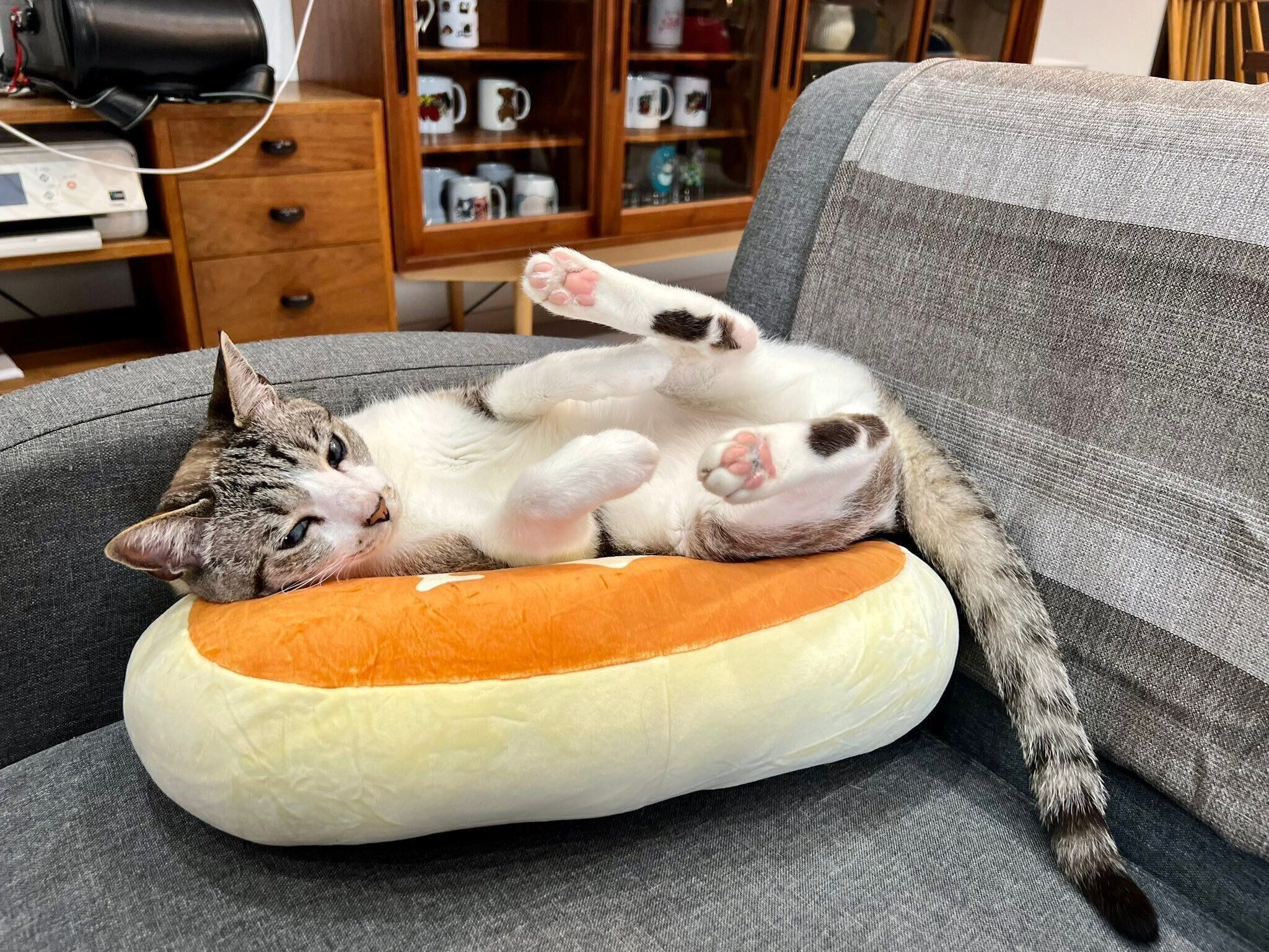 寝転がるういろうくん