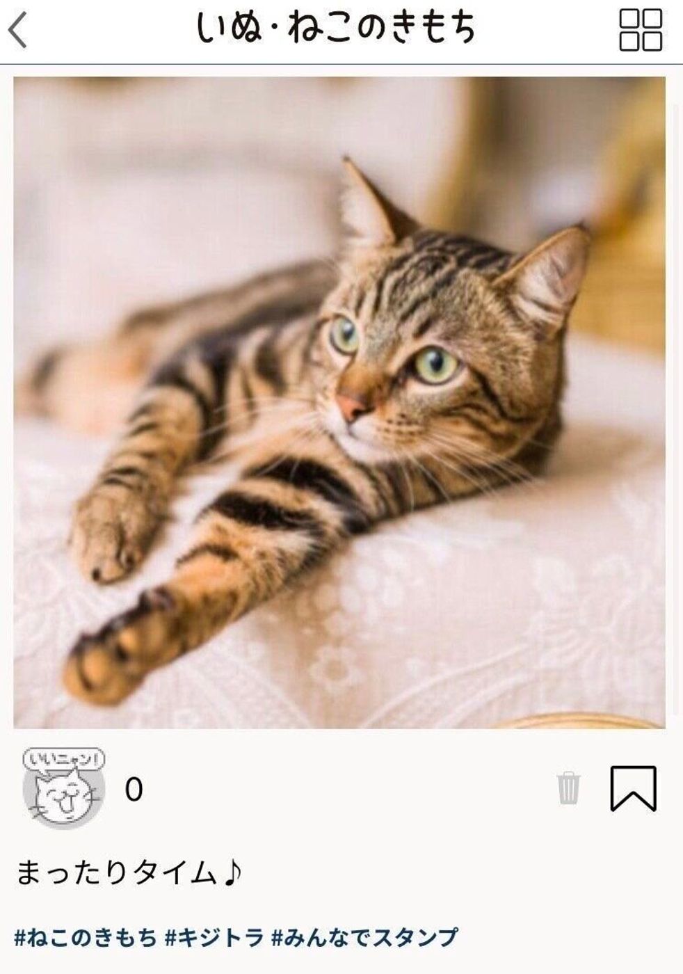 締切迫る みんなでスタンプ 公式アプリ投稿キャンペーン実施中 あなたの愛猫がスタンプに ねこのきもちweb Magazine 締切迫る みんなでスタンプ 公式アプリ投稿キャンペーン実施中 あなたの愛猫がスタンプに ねこのきもちweb Magazine