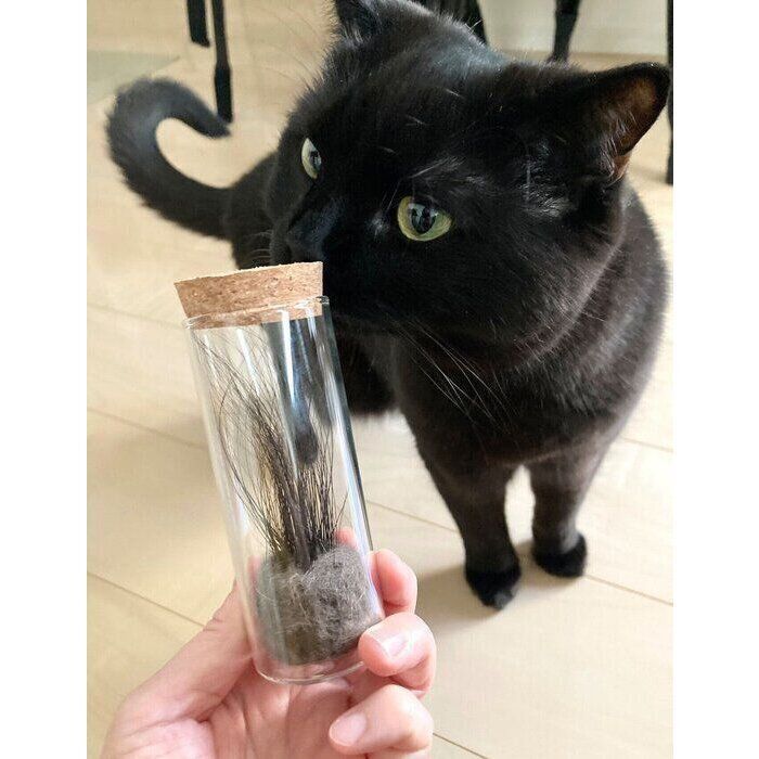 自分のヒゲが入ったビンのニオイを嗅ぐたきびくん