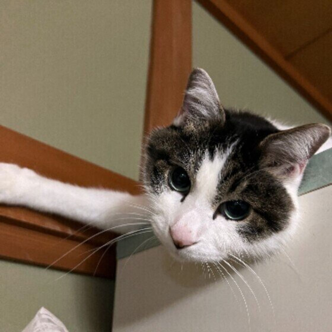 Zyuphm0mwf Wxm Zyuphm0mwf Wxm