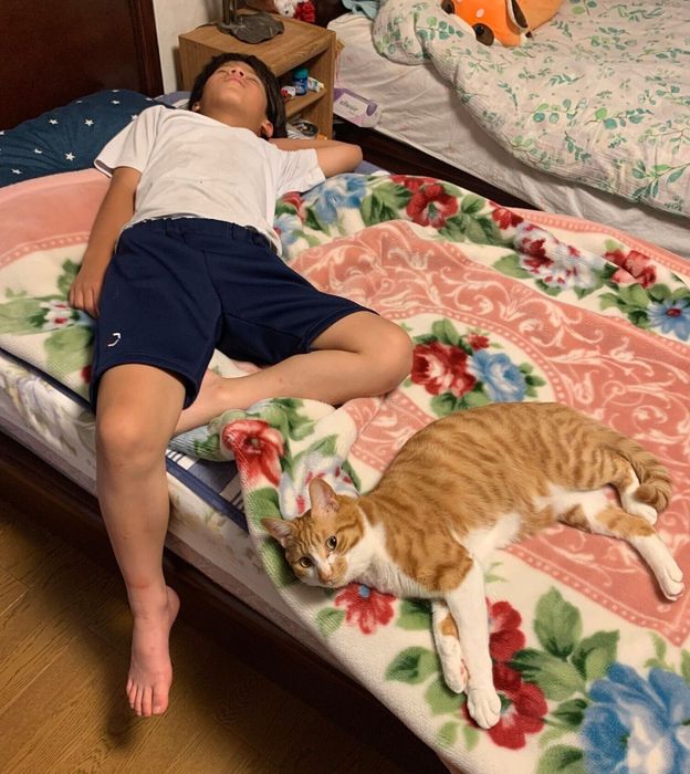 こなつくんと甥っ子さん