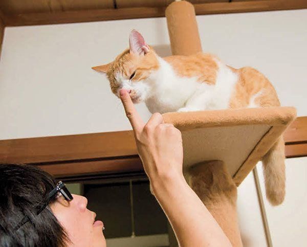 煉さんと虎徹くん