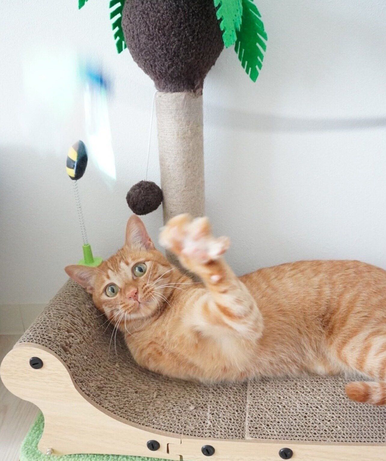 おもちゃで遊ぶにゃんちゅーくん