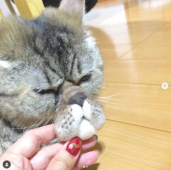 猫柄マズルの猫ヒゲホルダー