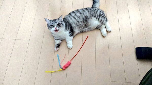 「あそべ」とアピールするゆずさん