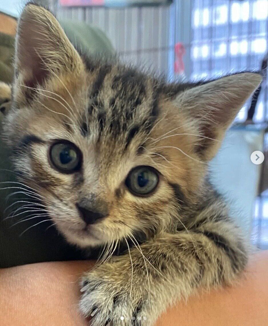 生後2カ月頃のもずくくん