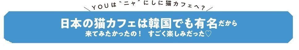 画像／ねこのきもち2018年11月号