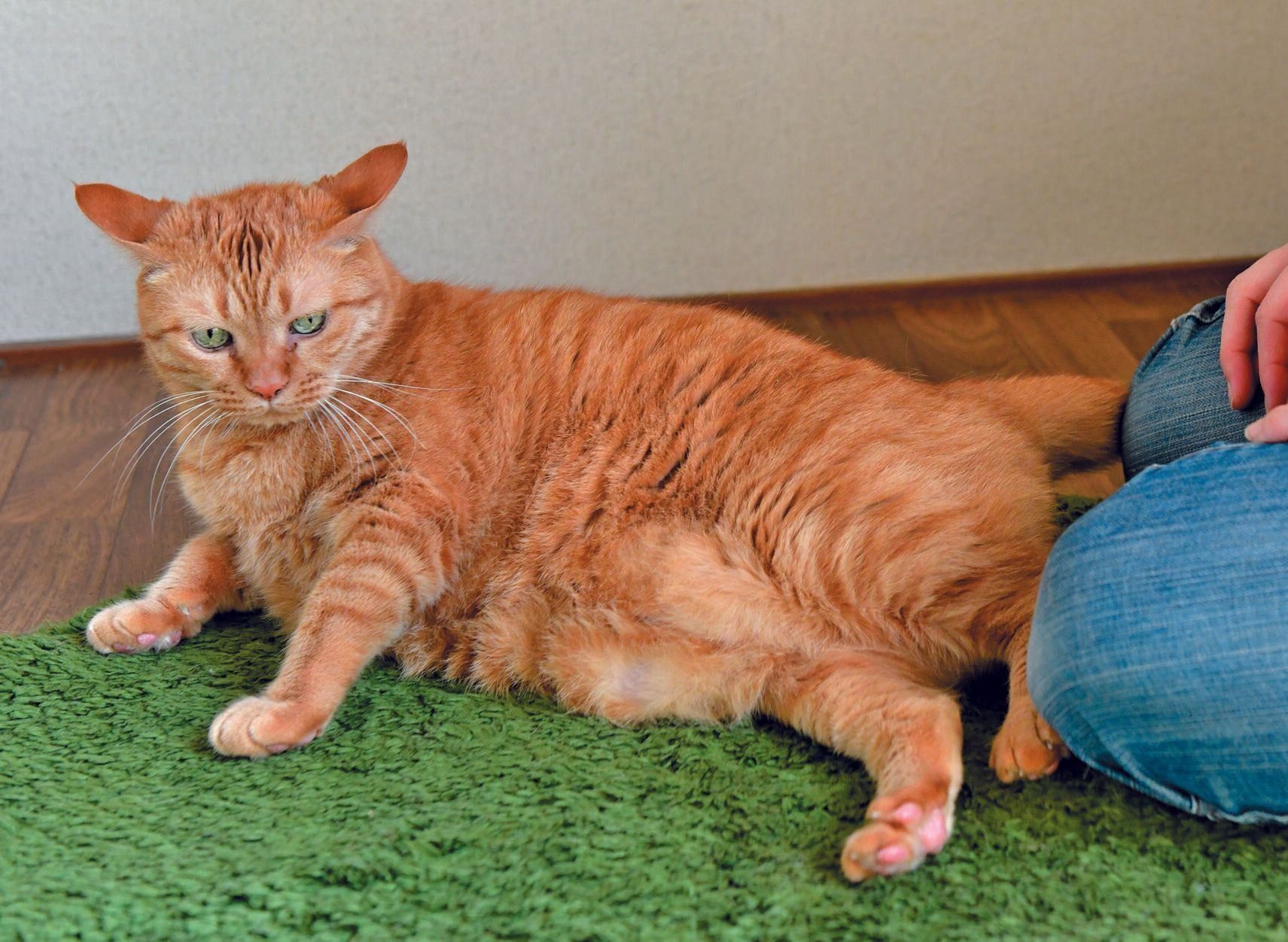 撮影／Akimasa Harada