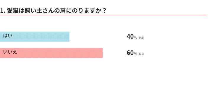 愛猫は肩に乗る？