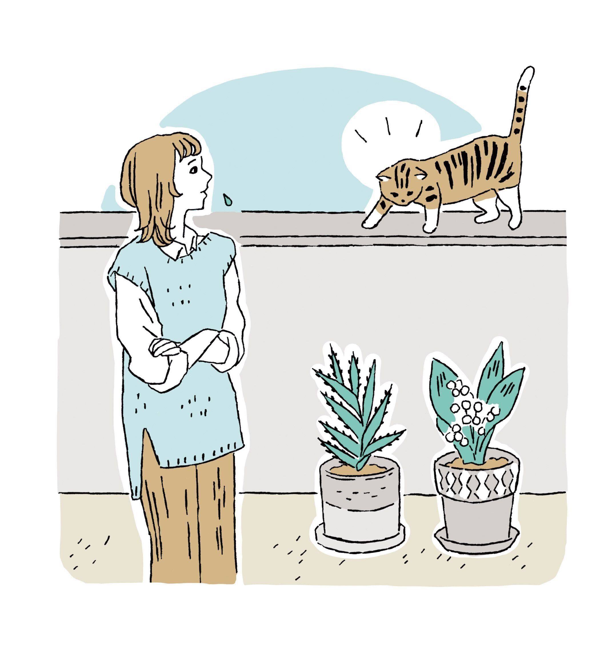 イラスト／徳丸ゆう