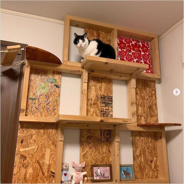 DIYキャットウォーク