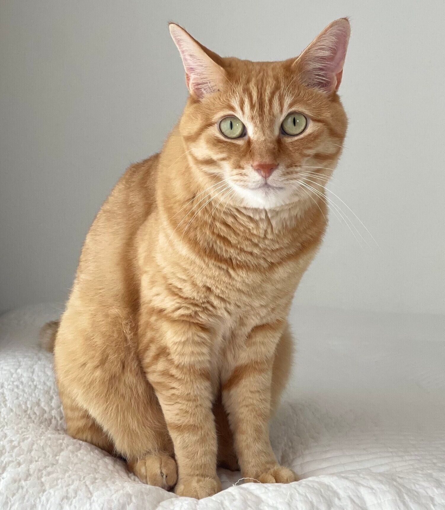 立派に成長した琥太郎くん