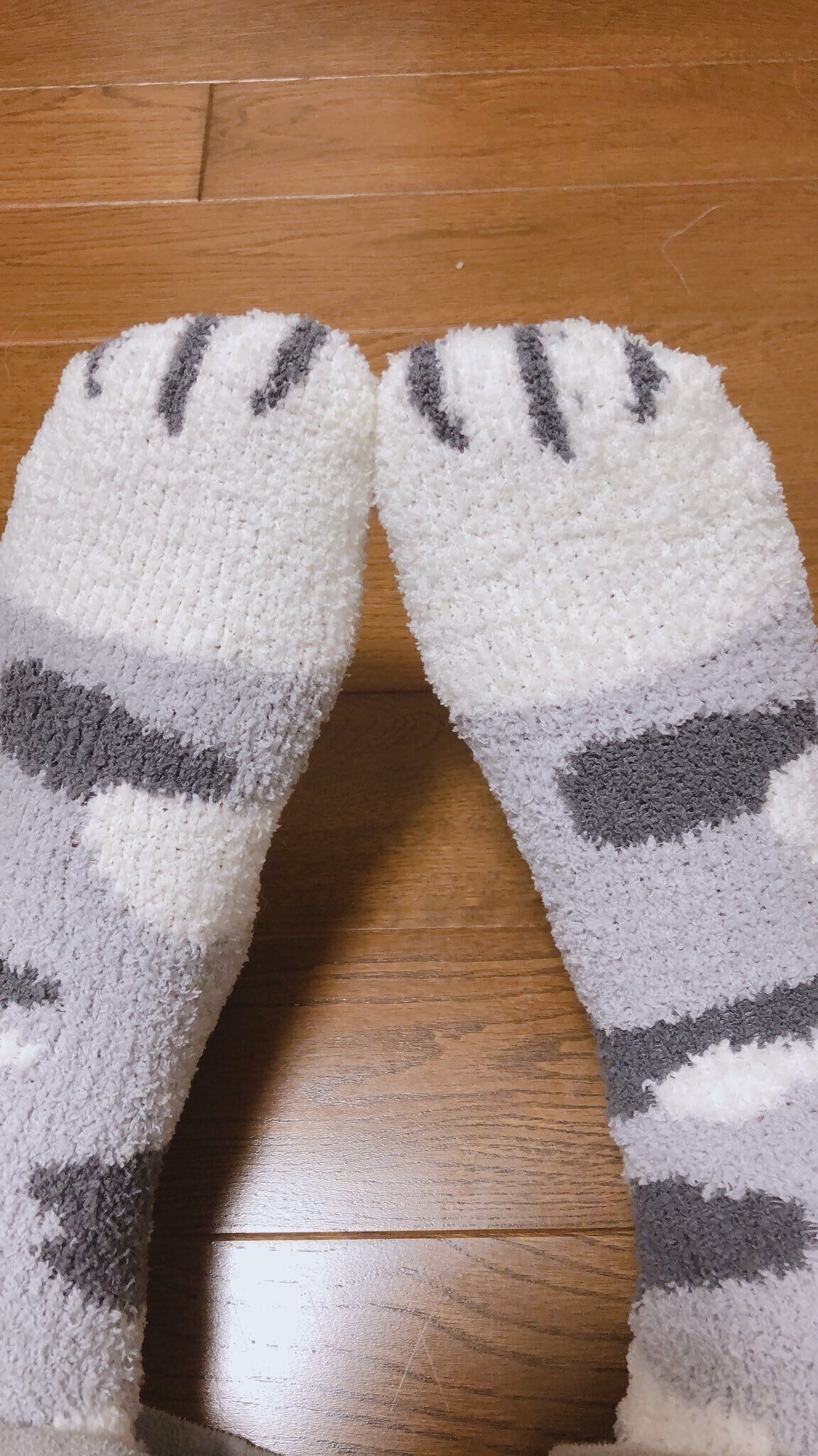 猫の足靴下