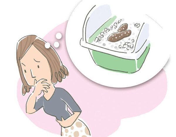 猫から間接的にうつりやすい病気