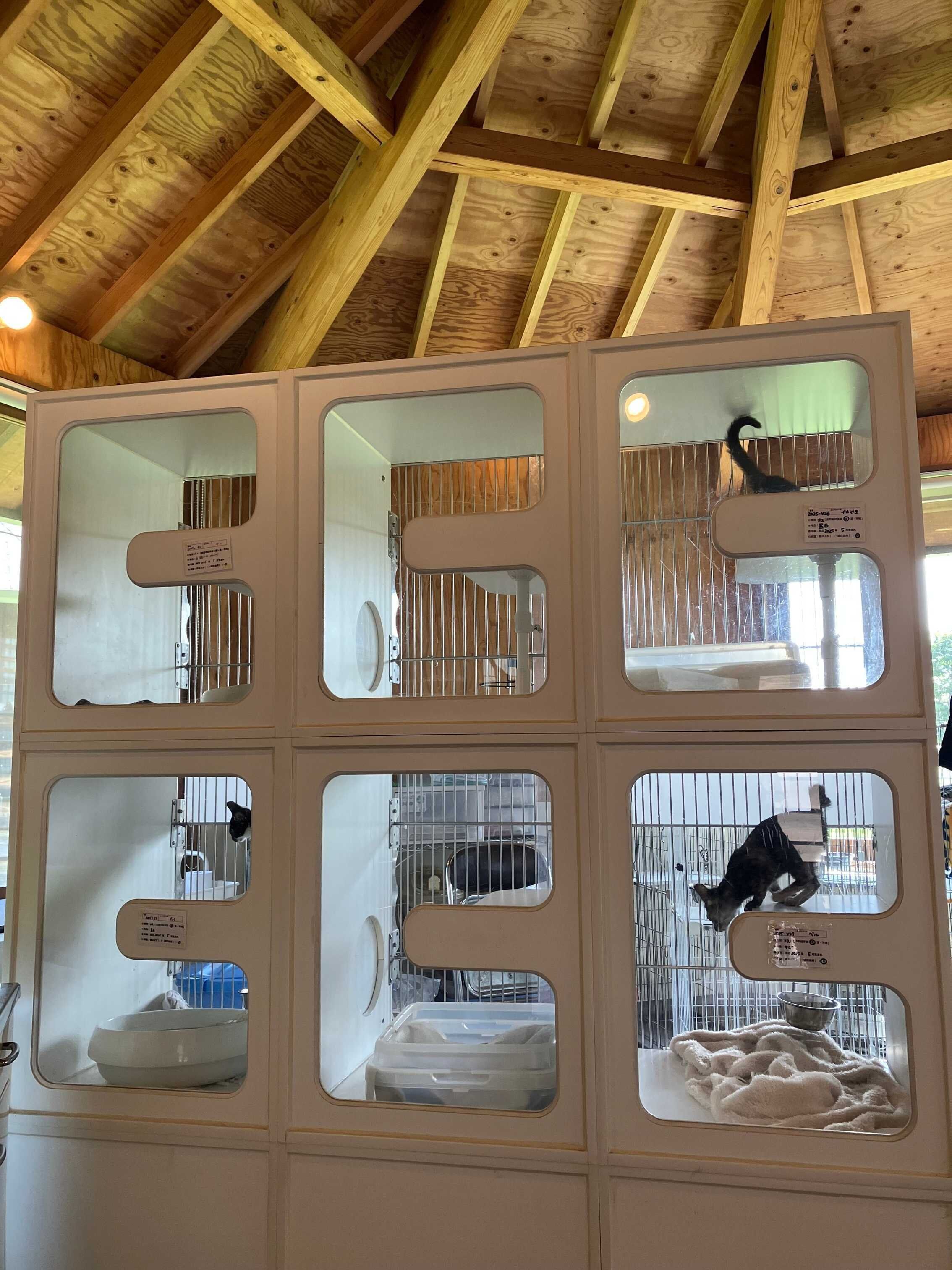 写真提供／新潟市動物愛護センター