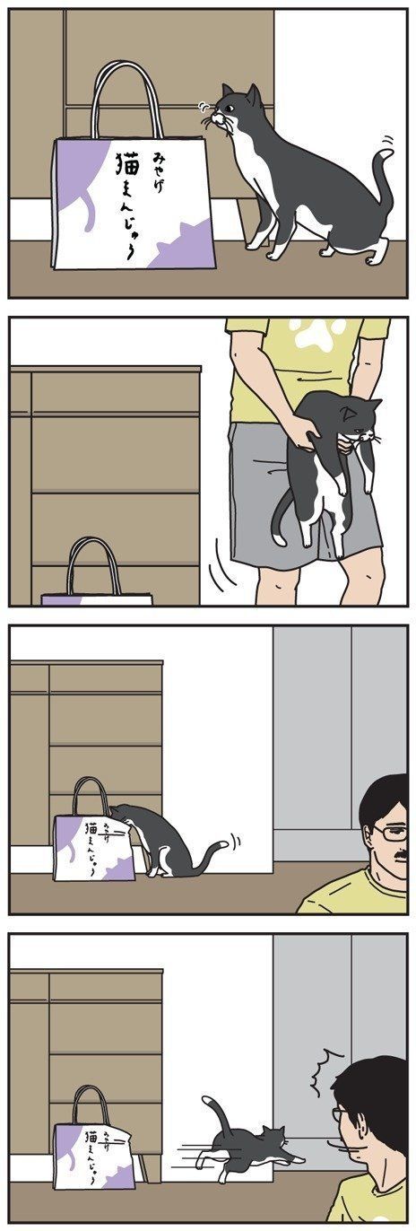 「男の猫道」49話目