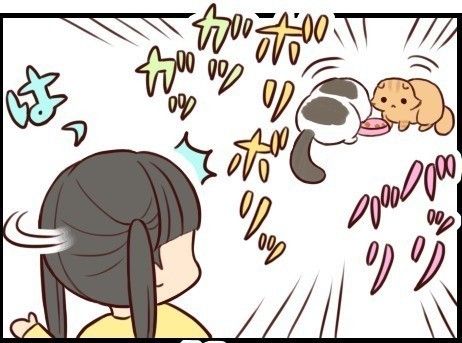 「もふもふスコたん」タイトル