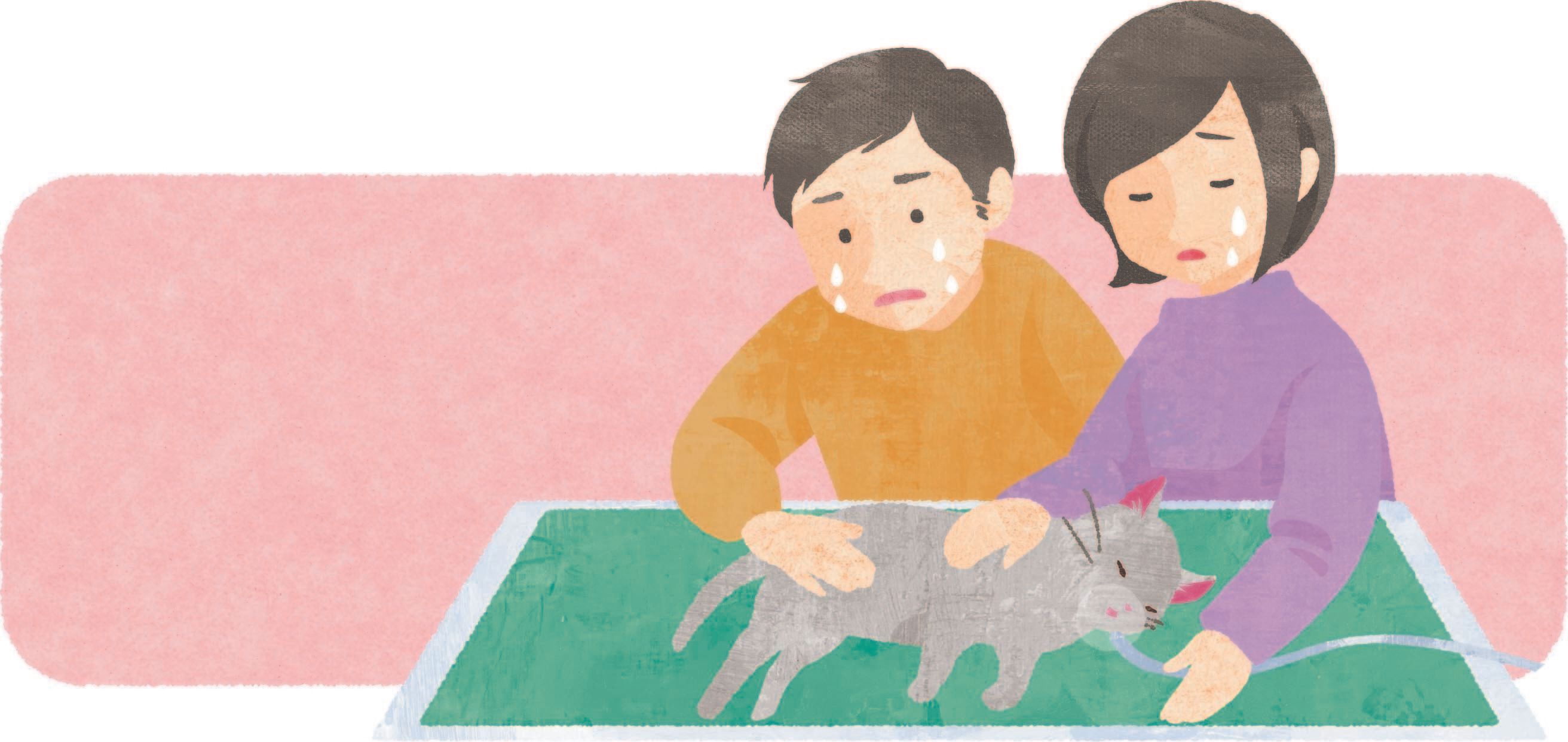 イラスト／たかひらえり