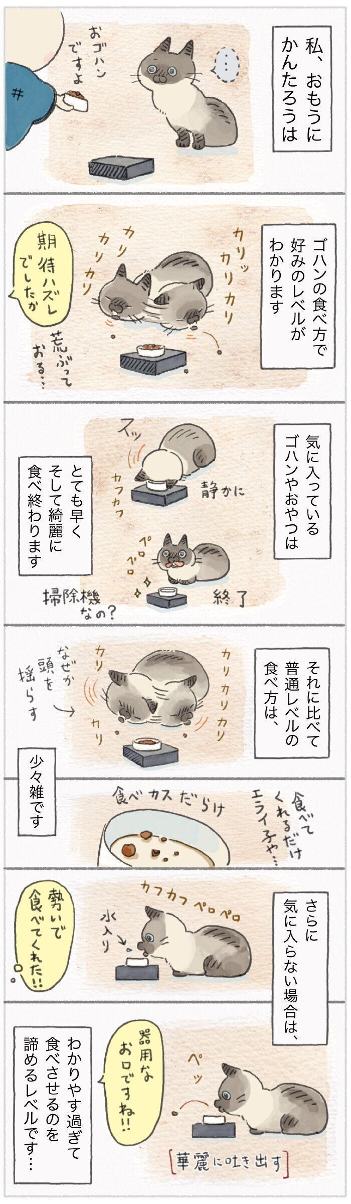 「ねこ連れ草」144話め