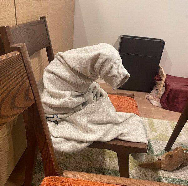 スウェットの中に入るぽむちゃん