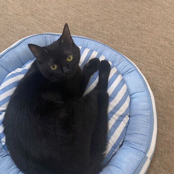 Mix（黒）のジジくん♪