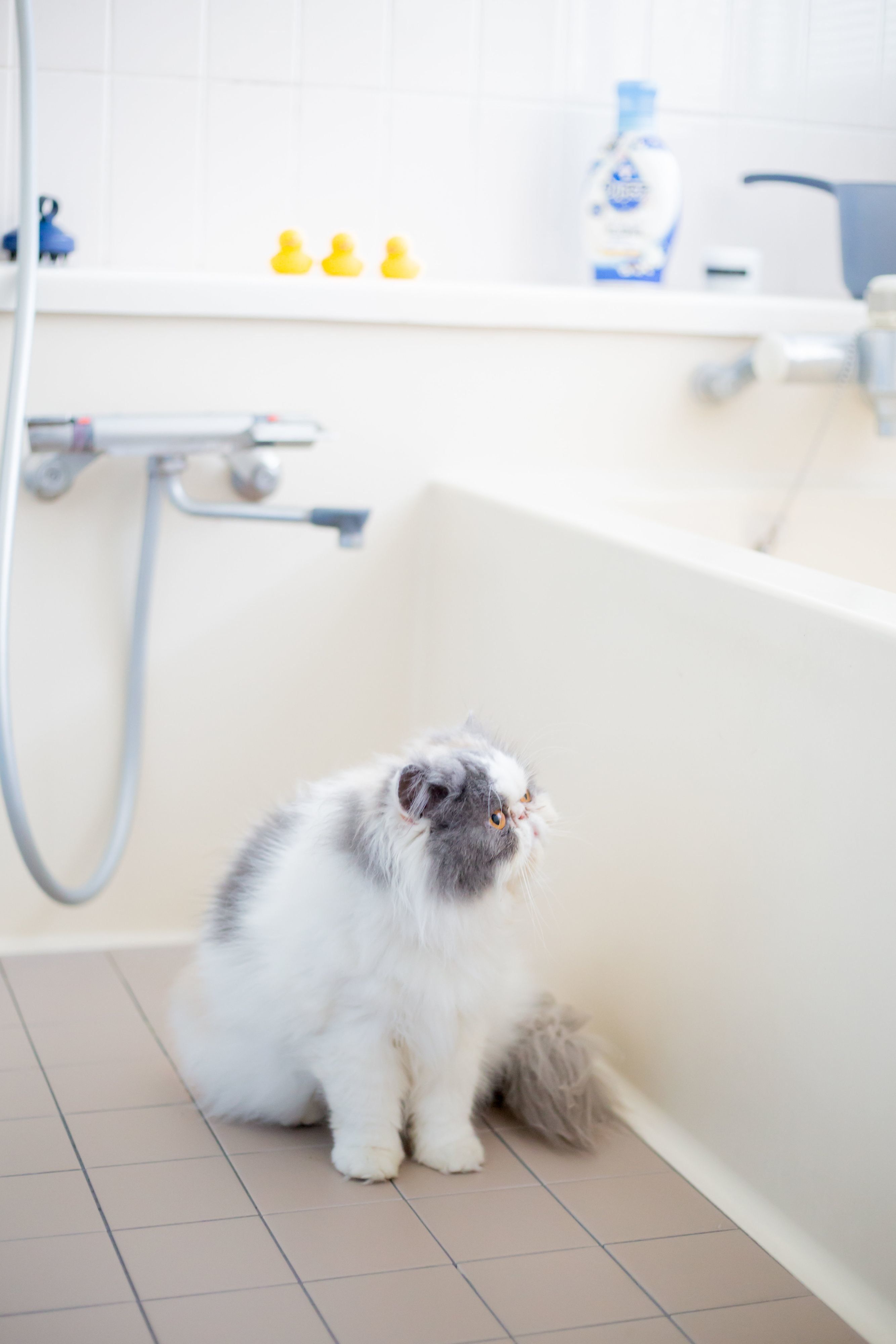 撮影／長谷川里美