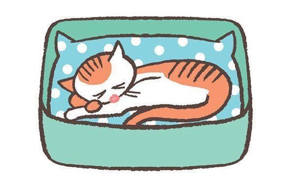 具合が悪そうな猫