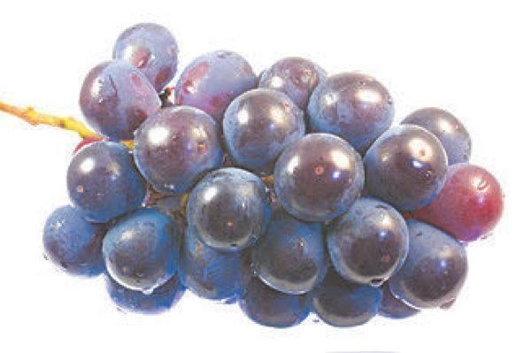 ぶどう